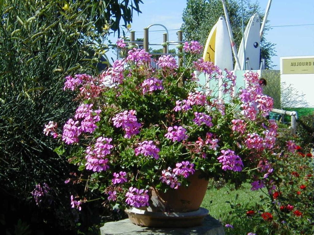 Camping De La Baie Hotel La Trinité-sur-Mer Kültér fotó